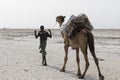 Danakil, Ethiopia, February 22 2015: Afar men are leading a camel caravan transporting salt blocks from the Danakil Desert