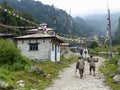 Danakyu village, Nepal