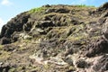 Danao beach resort rock formation