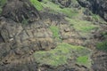 Danao beach resort rock formation and green grass plants