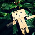 Danbo adventures Royalty Free Stock Photo