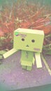 Danbo adventures 21 Royalty Free Stock Photo