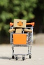 Danbo on the shopping cart Royalty Free Stock Photo