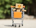 Danbo on the shopping cart Royalty Free Stock Photo