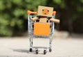 Danbo on the shopping cart Royalty Free Stock Photo