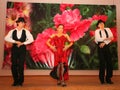 Dance Carmen. national dance exotic dance number in Spanish style performed by the ensemble dancers of Latin American dances.