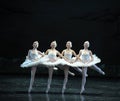 Dance of the four swans-The Swan Lakeside-ballet Swan Lake