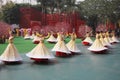 Dance group in beautiful costumes