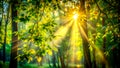 The Dance of Light and Shadow: A Playful Exploration of Sunlight Filtering Through Foliage Generative AI Digital art generation Royalty Free Stock Photo