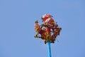 Dance of the papantla Flyers in tajin veracruz I