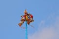 Dance of the papantla Flyers in tajin veracruz II