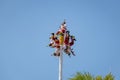 Dance of the Papantla Flyers Voladores de Papantla - Puerto Vallarta, Jalisco, Mexico Royalty Free Stock Photo