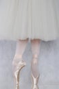 Dancer in ballet pointe