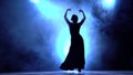 Dancer in a chic dress in an incendiary dance of flamenco . Llight from behind. Smoke background. Silhouette. Slow