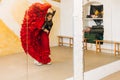 dancer dancing flamenco in a tailed gown Royalty Free Stock Photo