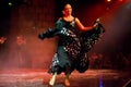 Dancer of the famous Spanish folk dance flamenco in the castle of San Miguel during a dance show for tourists