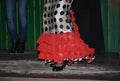 flamenco is danced on the tablao, a wooden floor, to enhance the blows Royalty Free Stock Photo