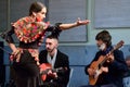 Dancer and musicians during the Flamenco Tree El Arbol del flamenco musical show part of the Flamenco Festival.