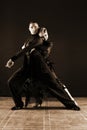 Dancers in ballroom isolated on black background Royalty Free Stock Photo