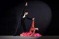 Dancers in ballroom isolated on black background Royalty Free Stock Photo