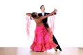 Dancers in ballroom isolated on white background Royalty Free Stock Photo