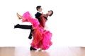 Dancers in ballroom on white background Royalty Free Stock Photo