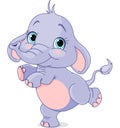 Dancing baby elephant Royalty Free Stock Photo