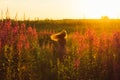 Dancing beautiful girl on field, sun backlight, sunrise Royalty Free Stock Photo