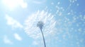 Dancing with the Breeze: Dandelion Flower Against the Azure Sky