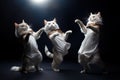 Dancing cats in space in the middle of the night in the moonlight