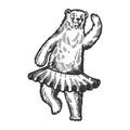 Dancing circus bear animal engraving vector