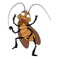 Dancing cockroach icon cartoon vector. Biology insect