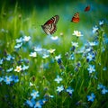 Dancing Colors: The Enchanting Journey of a Butterfly Through Blooming Gardens