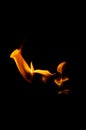 Dancing Flames