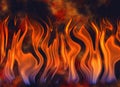 Dancing flames on background of burning coals Royalty Free Stock Photo