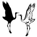 Dancing japanese crane black and white vector outline and silhouette