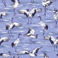 Dancing Japanese cranes in the snow