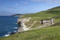 Dancing Ledge & Purbeck coast