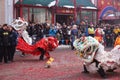 Dancing Lions at the Festival