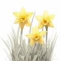 Dancing Petals - Watercolor Daffodils in Bloom