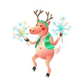 Dancing pig with sparklers isolated on the white