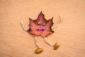 Red autumn maple leaf