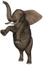 Dancing Standing Elephant Illustration Isolated