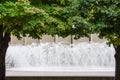 Dancing water framed by trees Royalty Free Stock Photo