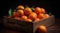 Dancy Tangerine Orange For Delivery Food And Product Photography