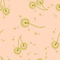 Dandelion background your design. Abstract floral seamless pattern. Royalty Free Stock Photo