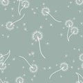 Dandelion background your design. Abstract floral seamless pattern. Royalty Free Stock Photo