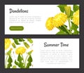 Dandelion Banner Design with Flowering Plant with Yellow Flower Head Vector Template Royalty Free Stock Photo