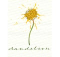 Dandelion with calligraphic name on calligraphic pattern