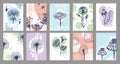 Dandelion cards, bright chic posters with organic motifs. Simple flyers templates, spring summer flowers. Minimal